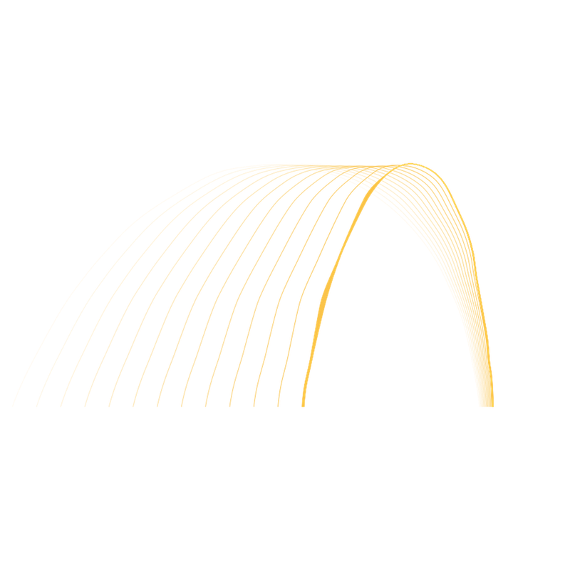 custom software development transparent